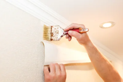 Pose de papier peint à Anterrieux — revêtements muraux et toiles de verre